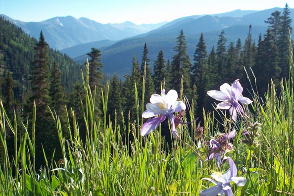 Deer Valley Ranch. Nathrop, Colorado