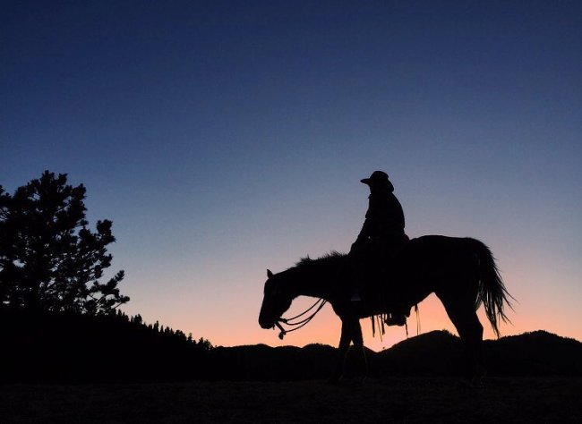 Night Cowboy Rider