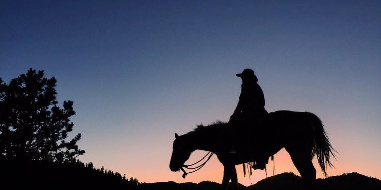 Five Night Cowboy Rider