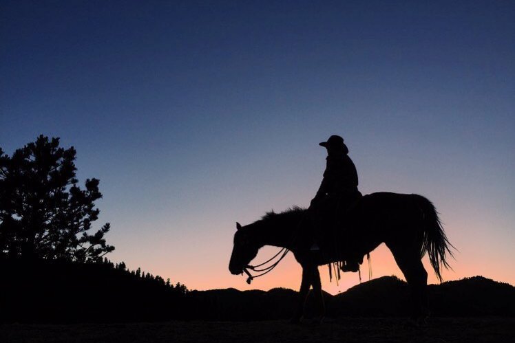 Night Cowboy Rider
