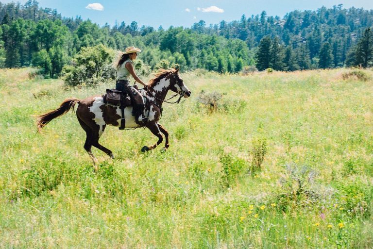 Dude Ranches In Colorado Best Dude Ranches - Colorado Dude & Guest Ranch Association - Dude ...