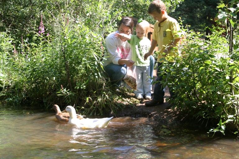 Tumbling River Ranch, Grant, Colorado