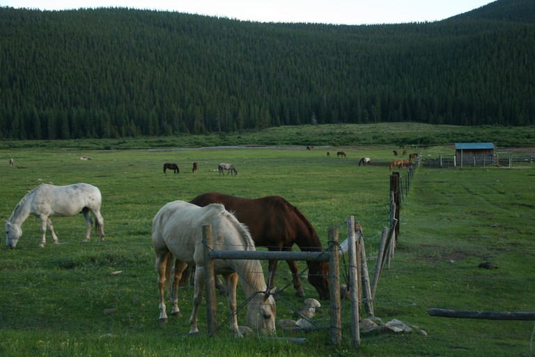 Tumbling River Ranch, Grant, Colorado