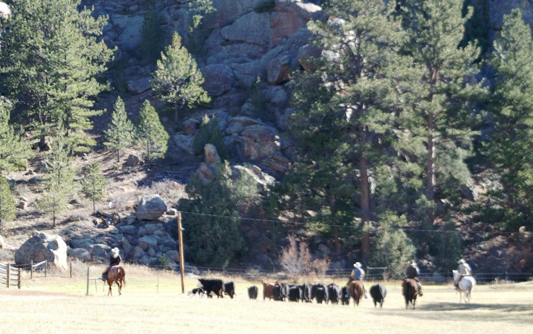 Cherokee Park Ranch, Livermore, Colorado