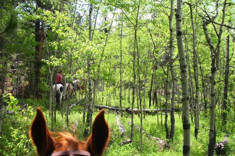 Cherokee Park Ranch, Livermore, Colorado