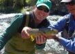 Rainbow Trout Fishing