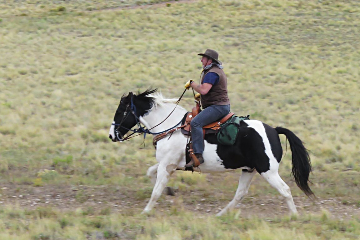 Dude Ranches In Colorado Planning Your Dude Ranch Vacation - Colorado Dude & Guest Ranch ...