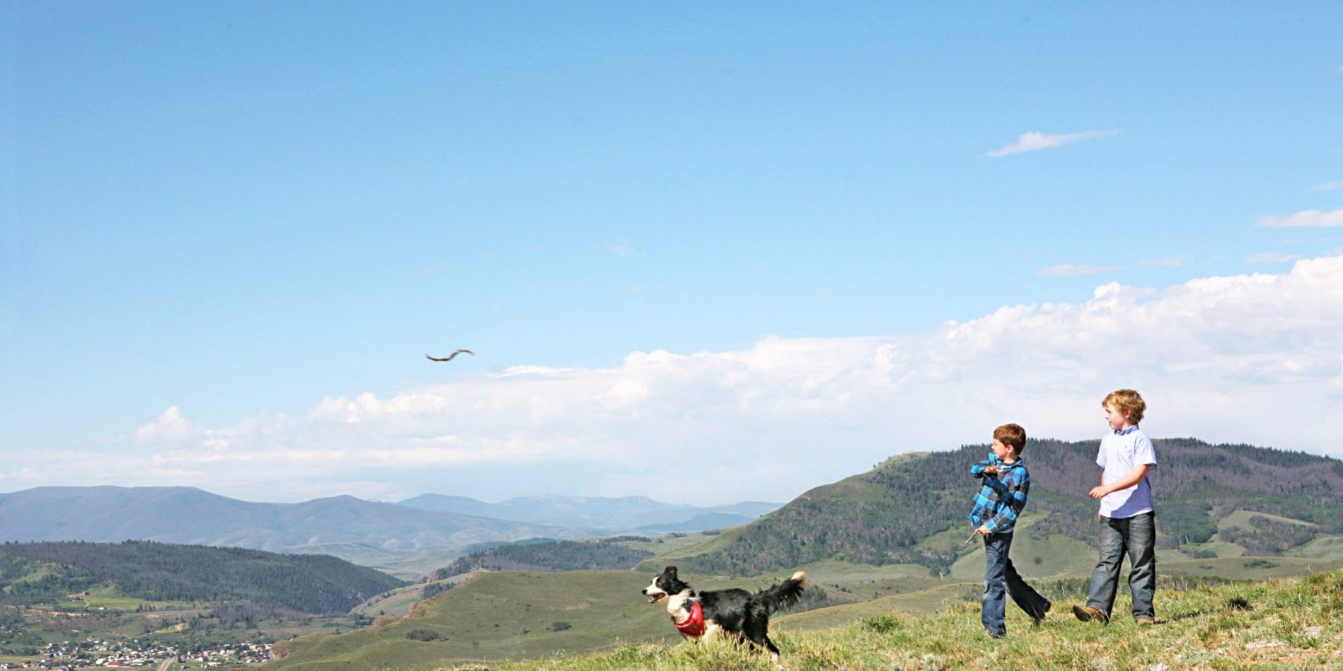 Fetch_Mountains Mountain Strolling