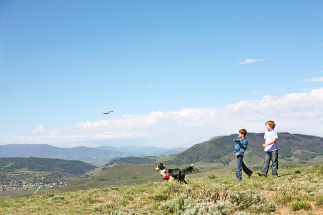 Fetch_Mountains Mountain Strolling