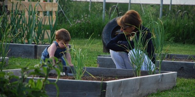 Mother & Son Planting