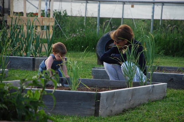 Mother & Son Planting