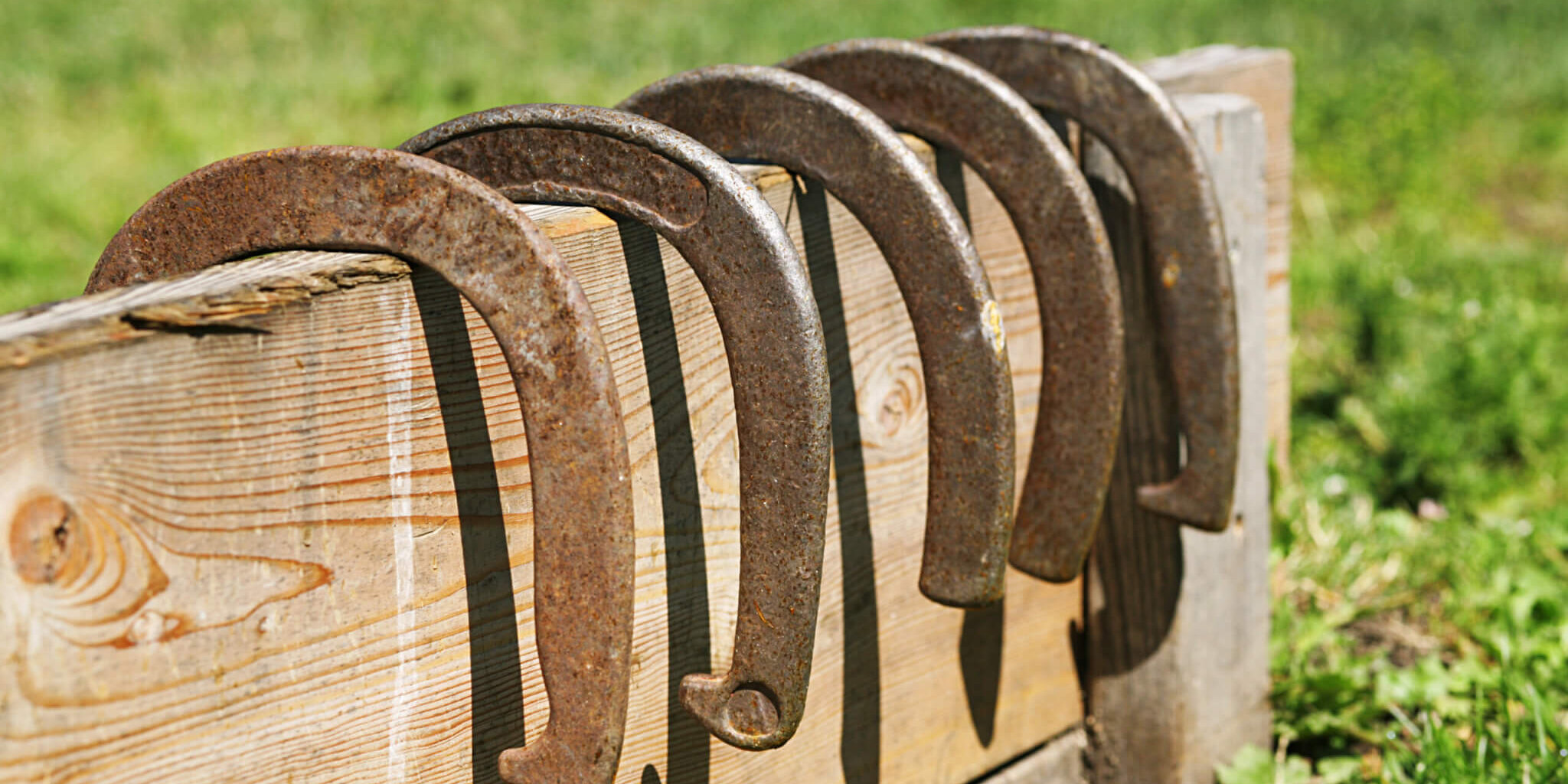 shoes – Copy Horse Shoes