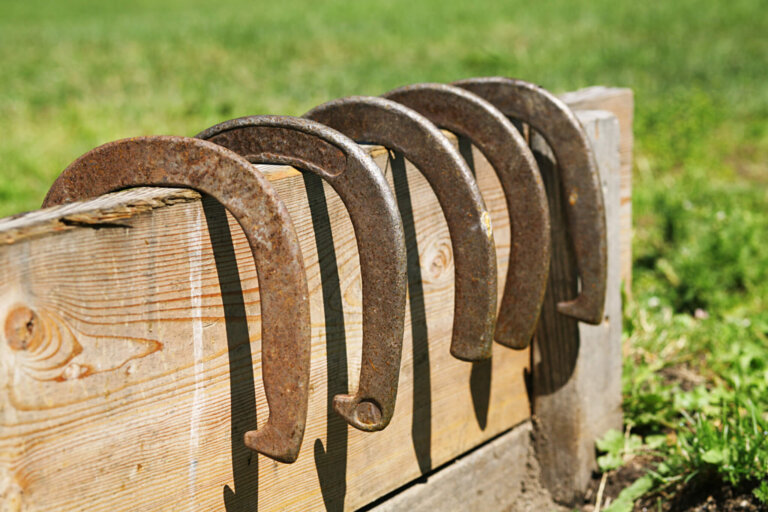 Horse Shoes