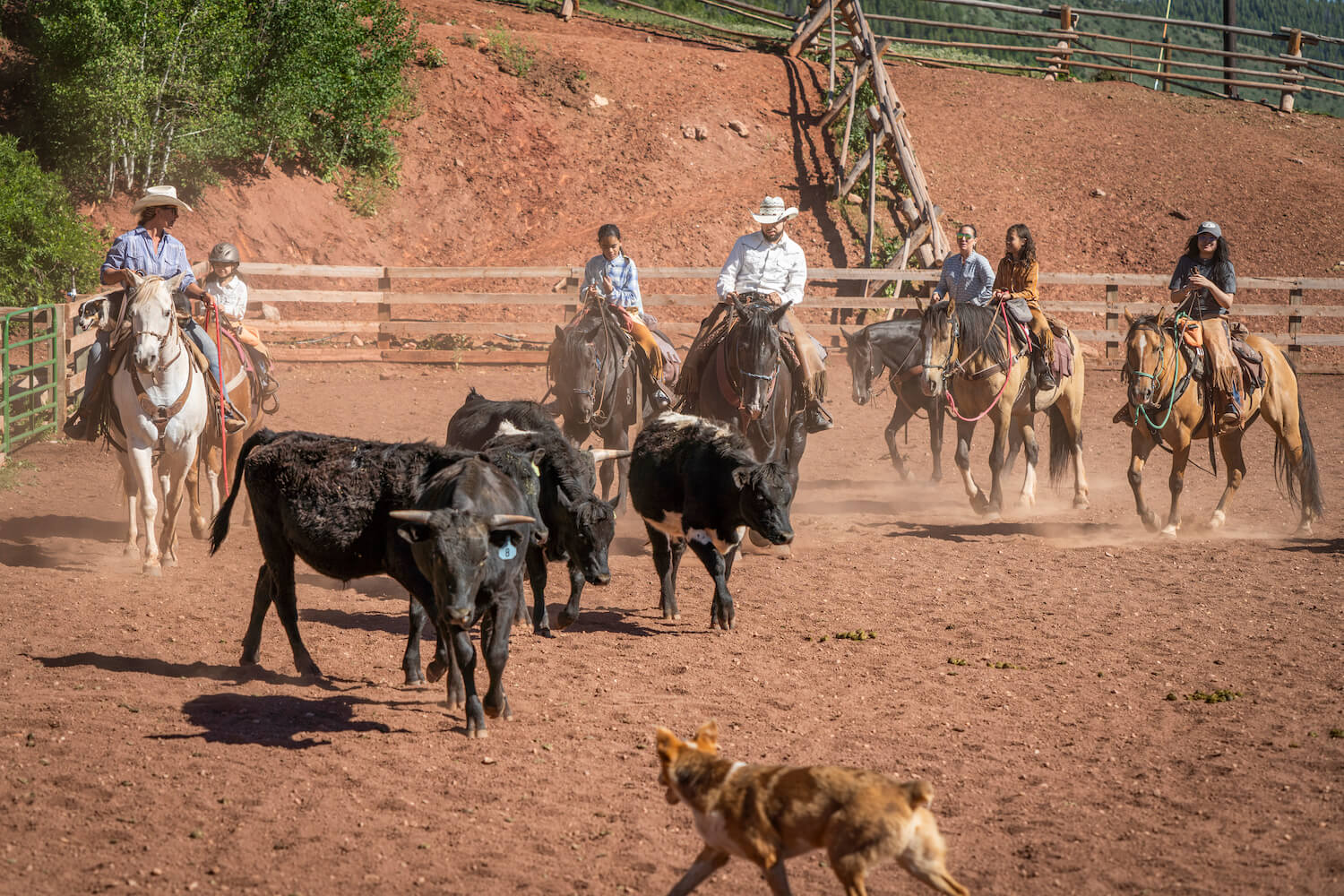 New Breed Ranch Colorado Springs